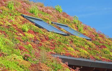 Laverstock living roof systems