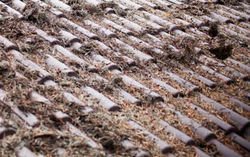 Laverstock roof cleaning companies