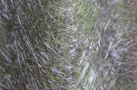 Laverstock fibreglass roof work